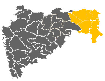nagpur-map-image